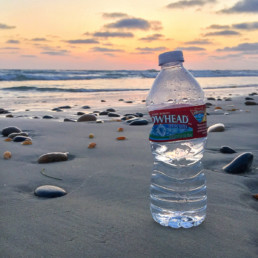 plastic water bottle on beach
