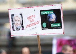 protest sign with Greta Thunberg and earth photos