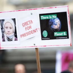 protest sign with Greta Thunberg and earth photos