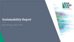 NER 2019 Sustainability Report