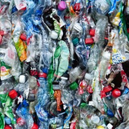 smashed bottles for recycling