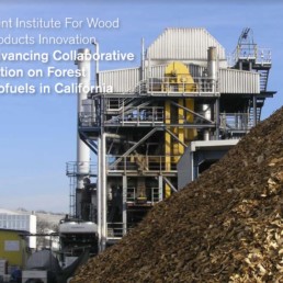 Joint Institute for Wood Products Innovation Forestry Report cover